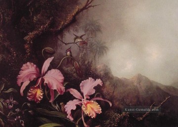 Zwei Orchideen in einer Berglandschaft romantische Blume Martin Johnson Heade Ölgemälde